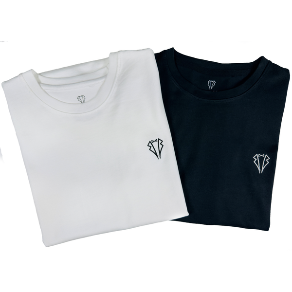PACK OF TWO SHIRTS - PLAIN T-SHIRTS